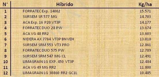 Aptitud Forrajera- Evaluación de híbridos de maíz.- Campaña 2016 – 2017. Determinación del rendimiento y la calidad de la materia seca. - Image 93