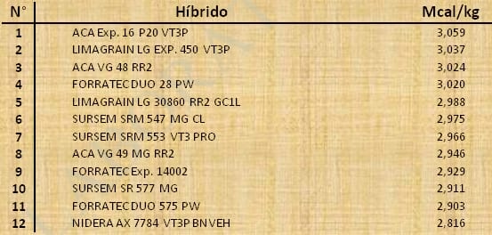 Aptitud Forrajera- Evaluación de híbridos de maíz.- Campaña 2016 – 2017. Determinación del rendimiento y la calidad de la materia seca. - Image 154