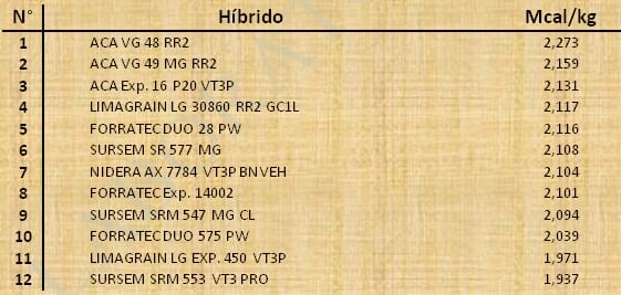 Aptitud Forrajera- Evaluación de híbridos de maíz.- Campaña 2016 – 2017. Determinación del rendimiento y la calidad de la materia seca. - Image 73