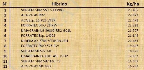 Aptitud Forrajera- Evaluación de híbridos de maíz.- Campaña 2016 – 2017. Determinación del rendimiento y la calidad de la materia seca. - Image 132
