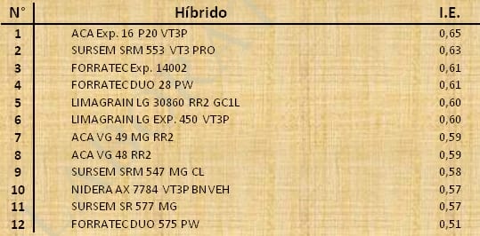 Aptitud Forrajera- Evaluación de híbridos de maíz.- Campaña 2016 – 2017. Determinación del rendimiento y la calidad de la materia seca. - Image 137