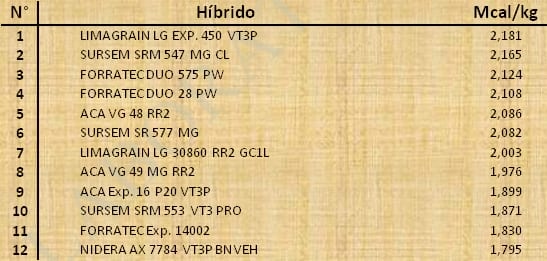Aptitud Forrajera- Evaluación de híbridos de maíz.- Campaña 2016 – 2017. Determinación del rendimiento y la calidad de la materia seca. - Image 148