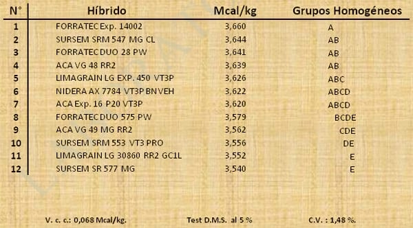 Aptitud Forrajera- Evaluación de híbridos de maíz.- Campaña 2016 – 2017. Determinación del rendimiento y la calidad de la materia seca. - Image 14