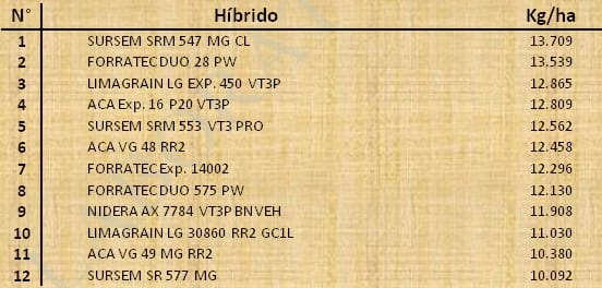Aptitud Forrajera- Evaluación de híbridos de maíz.- Campaña 2016 – 2017. Determinación del rendimiento y la calidad de la materia seca. - Image 134
