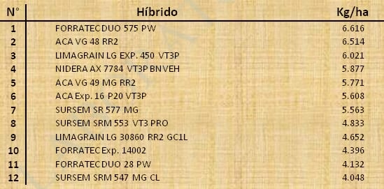 Aptitud Forrajera- Evaluación de híbridos de maíz.- Campaña 2016 – 2017. Determinación del rendimiento y la calidad de la materia seca. - Image 101