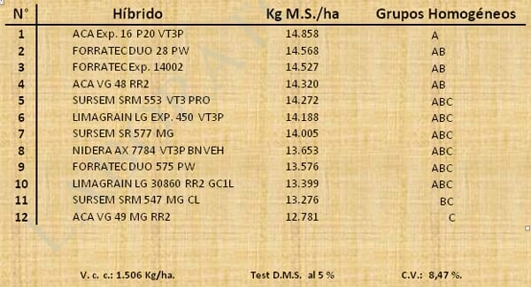 Aptitud Forrajera- Evaluación de híbridos de maíz.- Campaña 2016 – 2017. Determinación del rendimiento y la calidad de la materia seca. - Image 5