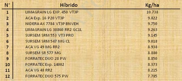 Aptitud Forrajera- Evaluación de híbridos de maíz.- Campaña 2016 – 2017. Determinación del rendimiento y la calidad de la materia seca. - Image 34