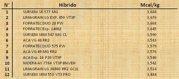 Aptitud Forrajera- Evaluación de híbridos de maíz.- Campaña 2016 – 2017. Determinación del rendimiento y la calidad de la materia seca. - Image 41