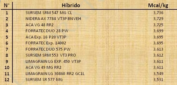 Aptitud Forrajera- Evaluación de híbridos de maíz.- Campaña 2016 – 2017. Determinación del rendimiento y la calidad de la materia seca. - Image 66