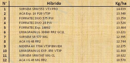 Aptitud Forrajera- Evaluación de híbridos de maíz.- Campaña 2016 – 2017. Determinación del rendimiento y la calidad de la materia seca. - Image 118