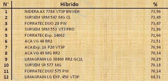 Aptitud Forrajera- Evaluación de híbridos de maíz.- Campaña 2016 – 2017. Determinación del rendimiento y la calidad de la materia seca. - Image 76