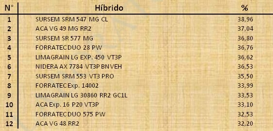 Aptitud Forrajera- Evaluación de híbridos de maíz.- Campaña 2016 – 2017. Determinación del rendimiento y la calidad de la materia seca. - Image 46