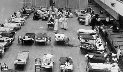 Gripe Aviar - Máxima alerta mundial - Image 8