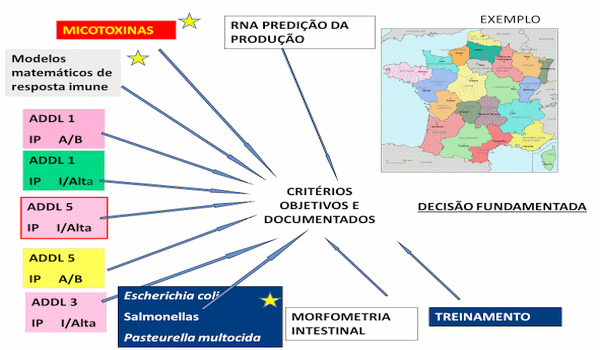 Nuevos métodos para gerenciar la producción y la sanidad avícola - Image 3