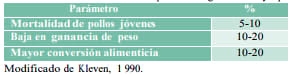 Uso de las pruebas diagnósticas para mycoplasma gallisepticum en pollos de engorde y actividad de la tiamulina a dosis de tratamiento - Image 1