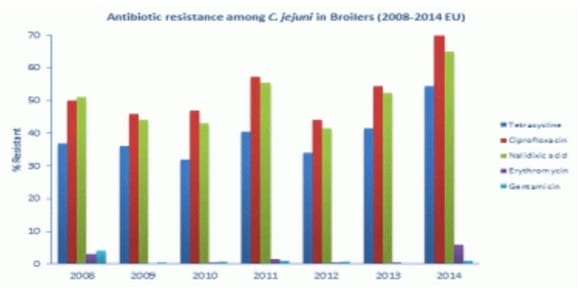 Resistencia a los antibióticos: reconocer la necesidad de cambio - Image 4