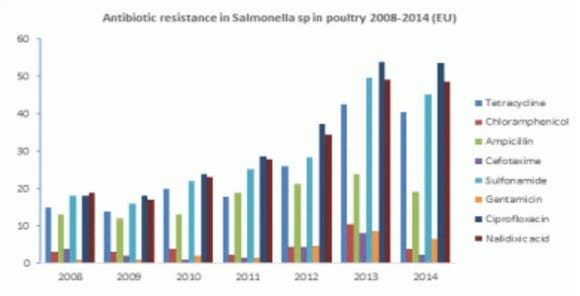 Resistencia a los antibióticos: reconocer la necesidad de cambio - Image 2