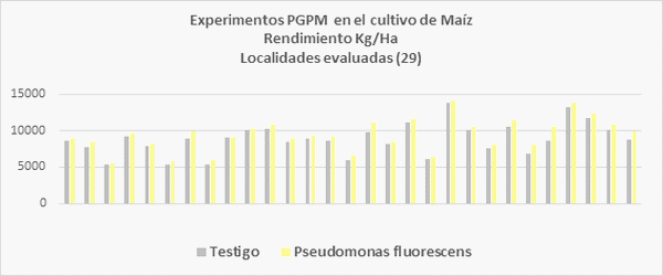 Microrganismos PGPM (Plant Growth Promoting Microrganims) Solubilizadores de Fósforo: Importancia Agronómica e Impacto Productivo - Image 6