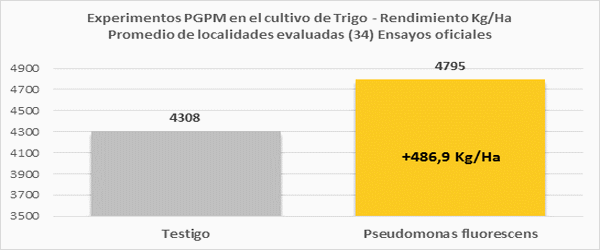 Microrganismos PGPM (Plant Growth Promoting Microrganims) Solubilizadores de Fósforo: Importancia Agronómica e Impacto Productivo - Image 4