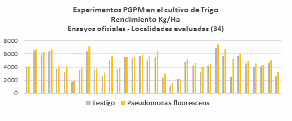Microrganismos PGPM (Plant Growth Promoting Microrganims) Solubilizadores de Fósforo: Importancia Agronómica e Impacto Productivo - Image 2