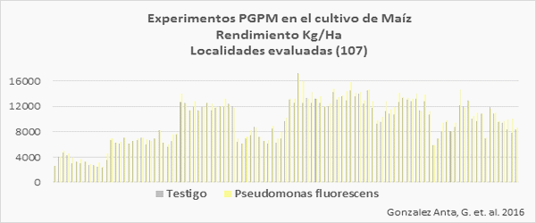 Microrganismos PGPM (Plant Growth Promoting Microrganims) Solubilizadores de Fósforo: Importancia Agronómica e Impacto Productivo - Image 5