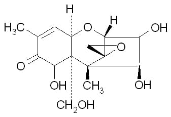 Micotoxinas del Trigo - Image 1