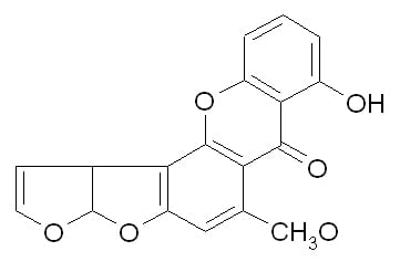 Micotoxinas del Trigo - Image 8