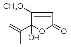 Micotoxinas del Trigo - Image 6
