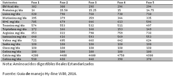 Estrategias nutricionales para lograr 500 huevos en 100 semanas en ponedoras de alta produccion - Image 6
