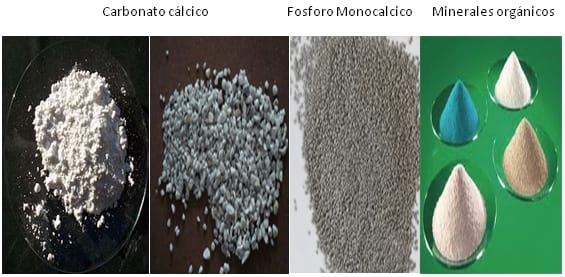 Estrategias nutricionales para lograr 500 huevos en 100 semanas en ponedoras de alta produccion - Image 2