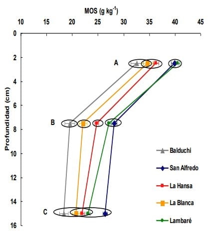 Balance de materia organica y capacidad de mineralización de nitrógeno de distintos suelos con fertilización continua - Image 3