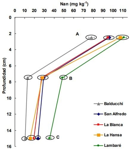 Balance de materia organica y capacidad de mineralización de nitrógeno de distintos suelos con fertilización continua - Image 5