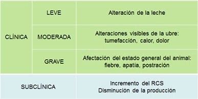 ¿Cuánto dinero pierdo por mastitis en mi granja? ¿Cuánto podría ahorrar si controlo esta enfermedad? - Image 1
