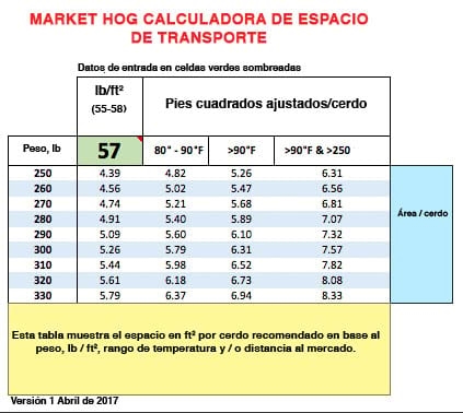 Recomendaciones de verano para cerdos en crecimiento - Image 4
