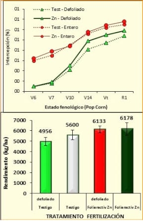 Micronutrientes en región pampeana argentina: Diagnóstico de carencias y tecnología de aplicación - Image 6