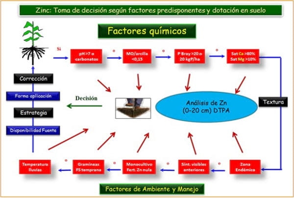 Micronutrientes en región pampeana argentina: Diagnóstico de carencias y tecnología de aplicación - Image 3
