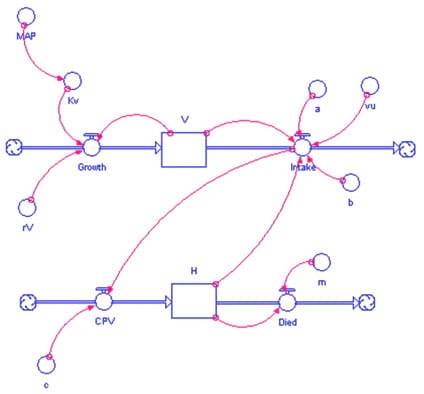 Una visión simplificada acerca de modelos de dinámica de poblaciones en ungulados silvestres - Image 5