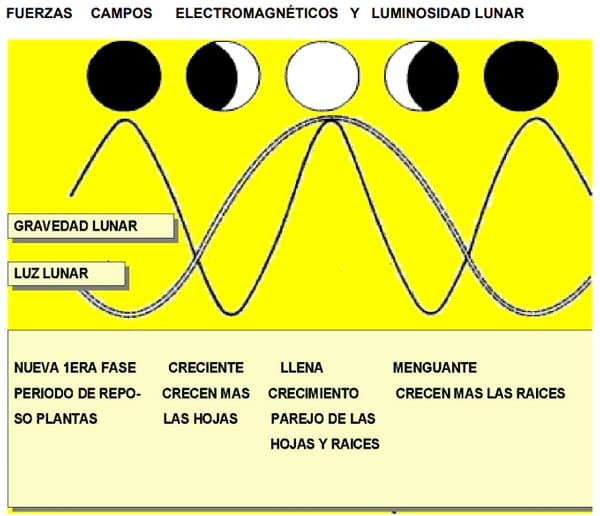 Explicación e indicaciones de uso para el calendario lunar agrícola - Image 2