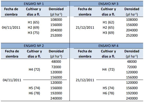 Relación entre la densidad de plantas y el numero de panojas a cosecha en sorgo granífero - Image 1