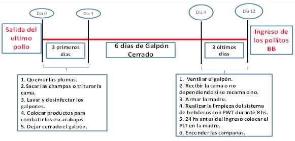 Una herramienta en el tratamiento de camas avícolas - Image 3