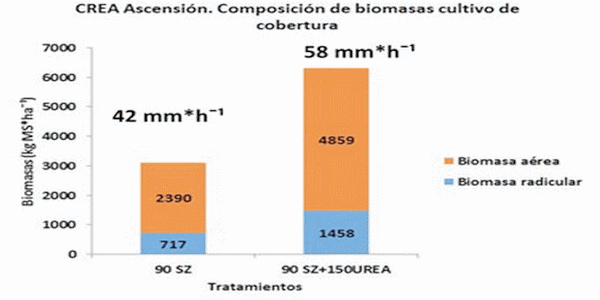 Los Cultivos de Cobertura como Alternativa en el Sistema de Producción Agrícola - Image 21