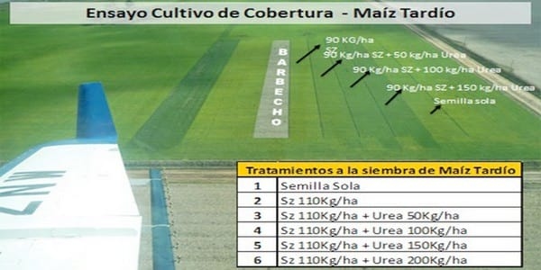 Los Cultivos de Cobertura como Alternativa en el Sistema de Producción Agrícola - Image 10