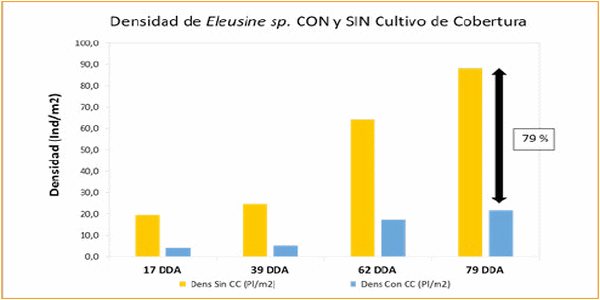 Los Cultivos de Cobertura como Alternativa en el Sistema de Producción Agrícola - Image 25