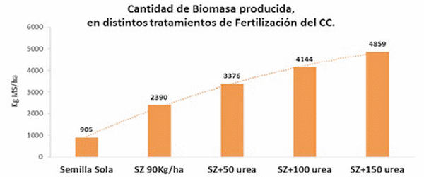 Los Cultivos de Cobertura como Alternativa en el Sistema de Producción Agrícola - Image 11