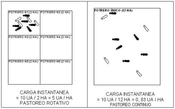 Cuantas unidades animales por hectárea podemos manejar –PARTE 1 Conceptos básicos necesarios - Image 2