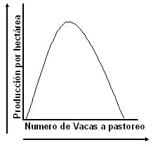 ¿Cuantas unidades animales por hectárea podemos manejar? PARTE 2 - Image 2