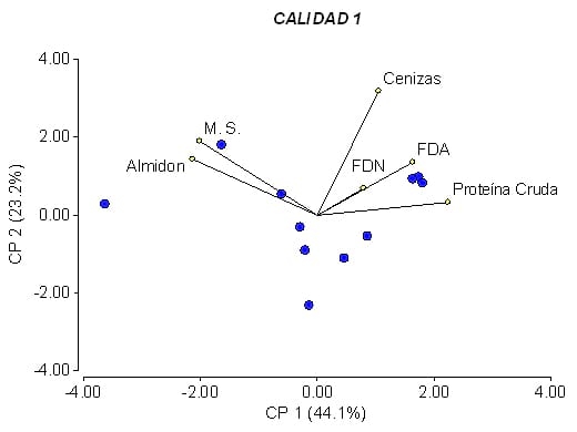 Calidad de Silaje - Image 4