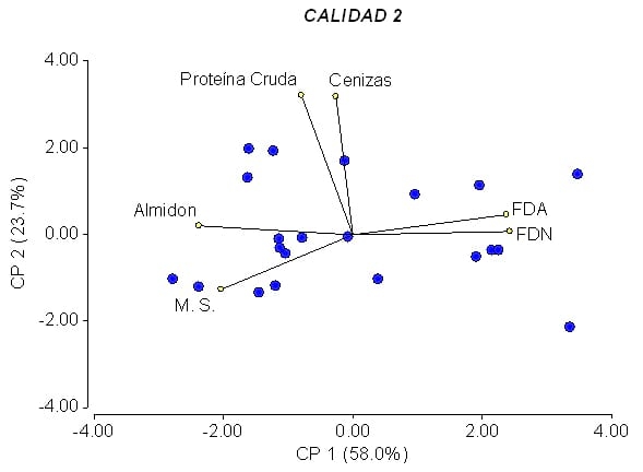 Calidad de Silaje - Image 5
