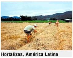 Agricultura de Conservación, una alternativa para conservar los suelos y reducir la quema de los residuos de cosecha - Image 3