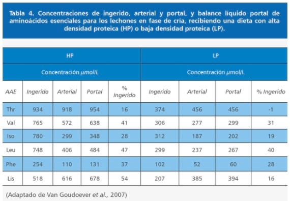Limitaciones para la eficiencia en el uso de aminoácidos para el crecimiento y Sistema Inmune Porcino (I) - Image 7
